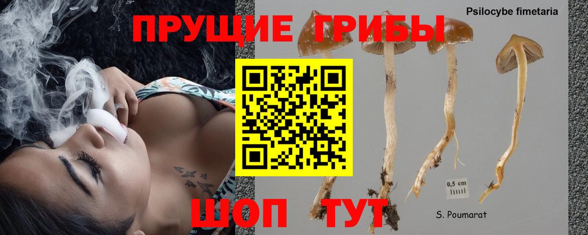 Галлюциногенные грибы MAGIC MUSHROOMS  Вход с VPN  Псилоцибиновые грибы мицелий  сколько стоит  Шелехов 
